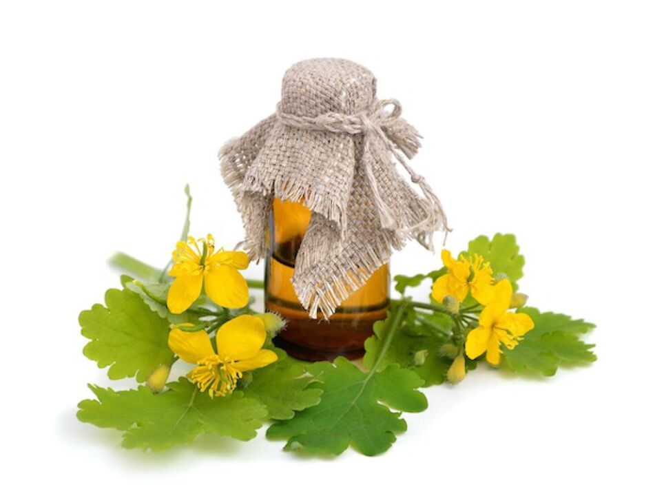 Infusion of celandine for athlete's foot